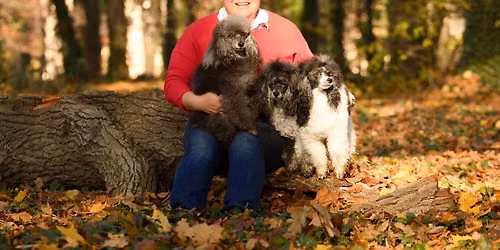P\u0159\u00edm\u011bstsk\u00fd t\u00e1bor dogdancingu s Ani\u010dkou \u0158\u00edhovou