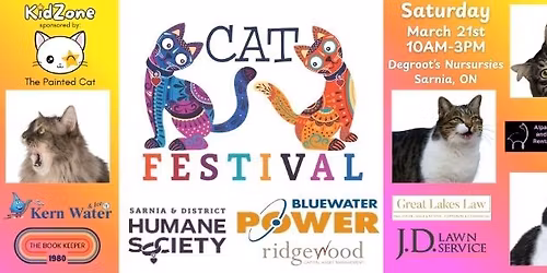 2nd Annual Cat Festival and Adoptions