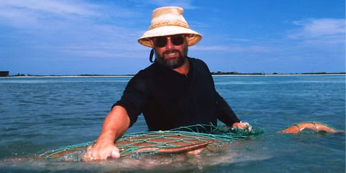 Sharks of the Shallows: A Tribute to Dr. Jeffrey C. Carrier