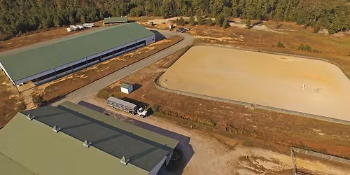 Keystone Acres After Halloween CT & Dressage Show #17