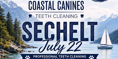 Anesthetic-free Teeth Cleaning - Sechelt 