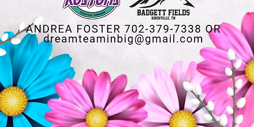 Dream Team Spring Fling