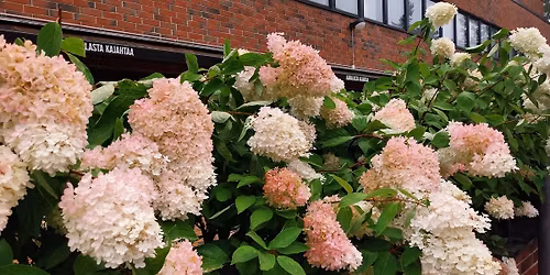 Sukujen p\u00e4iv\u00e4n syysseminaari