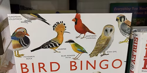 Bird Bingo with Ethan!