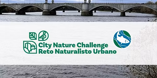 City Nature Challenge: Springfield, MA Nature Walk