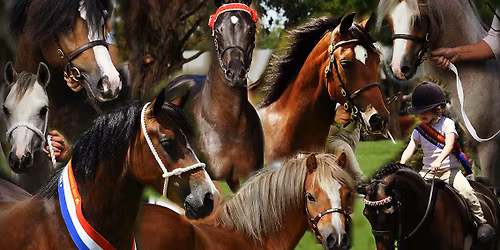 2026 Welsh & Performance Show