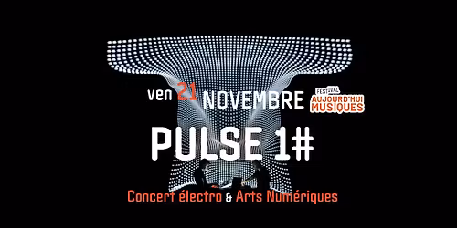 PULSE 1# - Raster Media - Electro - Aujourd'hui Musiques - El Mediator Perpignan