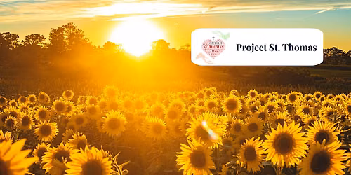 Project St Thomas: Sunflowers group for women: Permission to pause - 8 June