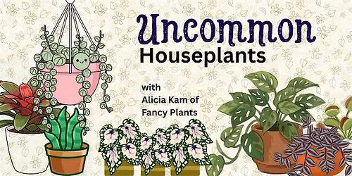 Uncommon Houseplants