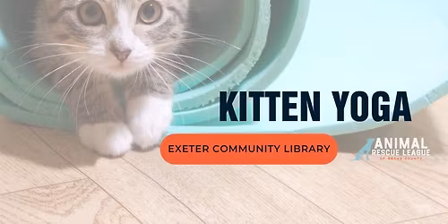 Kitten Yoga at the Exeter Community Library