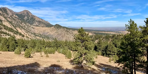 Goshawk Loop and Spring Brook Loop - 6.6 miles and 960 feet EG