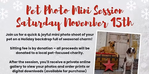 Mini Christmas Pet Photos 