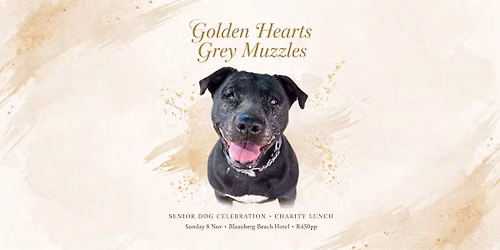 Golden Hearts, Grey Muzzles 