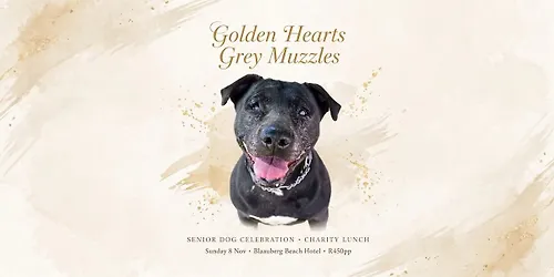 Golden Hearts Grey Muzzles