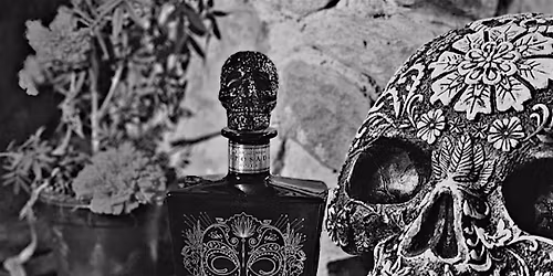 Satryna Tequila Tasting: Heritage, Craft & Agave