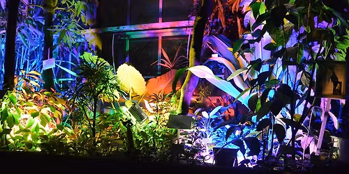 nocturnalis - Die Verwandlung der Nacht