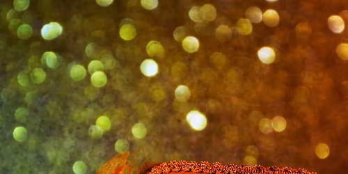 Zabawa karnawa\u0142owa