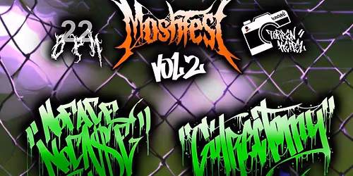 MOSHFEST VOL.2