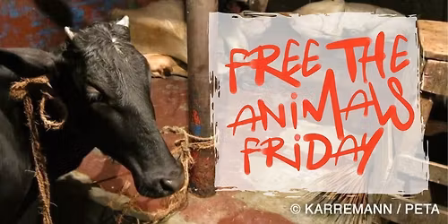 Santa Monica, CA: Free The Animals Friday! (After Fur Free Friday)