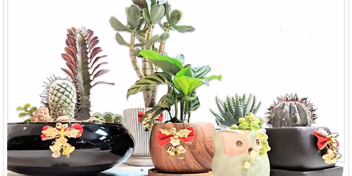 The Christmas Plantstravaganza at Flyleaf