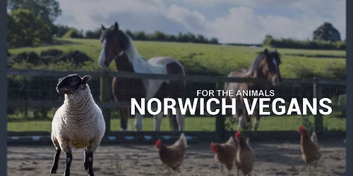 Norwich Vegans Social Meetup