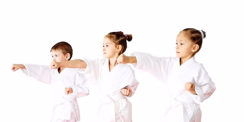 FREE Introduction to Kids Martial Arts