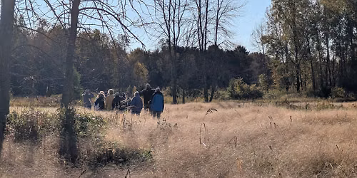Guided Walk: Forget Me Not Creek