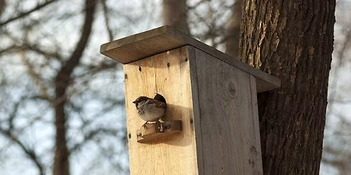 Werk in uitvoering - Vogelhuisjes klaar maken