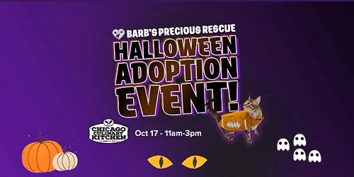 Halloween Adoption Event at Chicago Culinary Kitchen