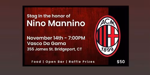 Stag for Nino Mannino