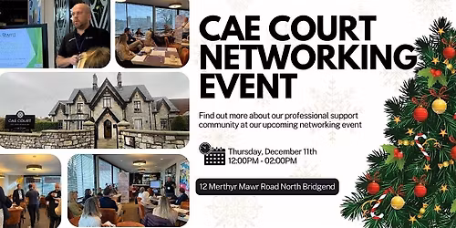 Cae Court Business Networking Event