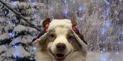 Winter Wonderland Photoshoot