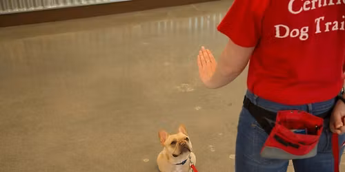 Beginner Level 1 Training Class