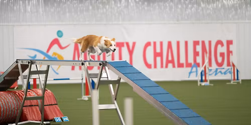 Essentials of Modern Dog Training \u2014General Training & Agility Emphasis