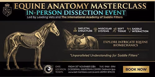 Dissection for Saddle Fitters and Equine Professionals