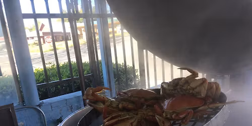 Fresh Dungeness Crab Opener