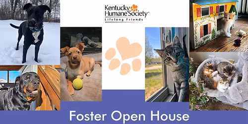 Foster Open House