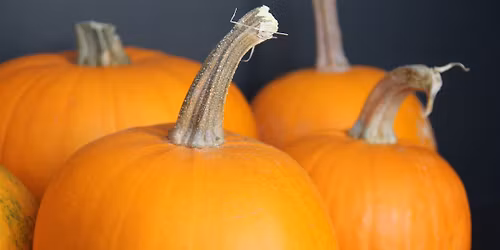 Rexburg 15th Ward Fall Social