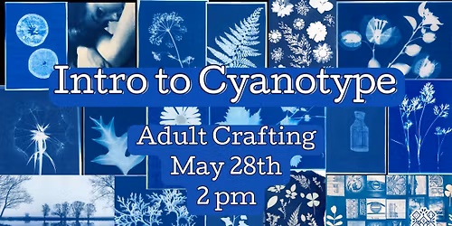 Adult Crafting: Intro to Cyanotype