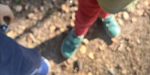Family Hike: Mushrooms!