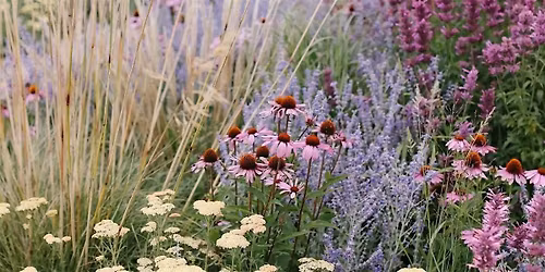 Free Garden Class: Bring on the Blooms- Flowering Perennial Care