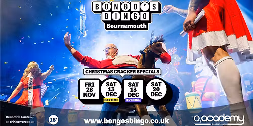 Bongo's Bingo Christmas Cracker Special