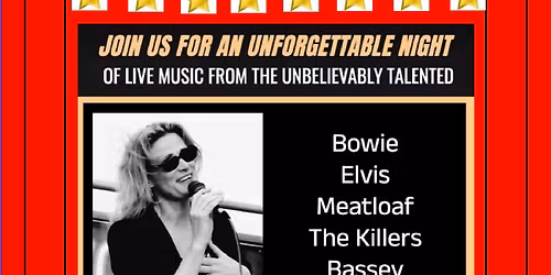 STEVIE S STEPHENSON IS PLAYING AT THE CARR LANE CLUB GRIMSBY SATURDAY 29th NOV 2025 - 8.30pm START