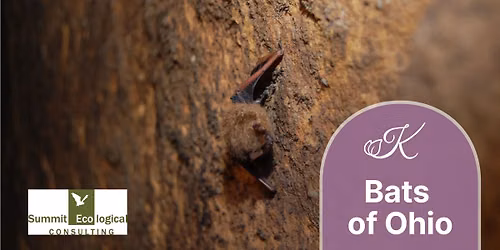 Bats of Ohio