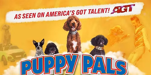 Puppy Pals LIVE!