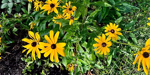 Landscape Design & Care - SoCo Seed Monthly Event