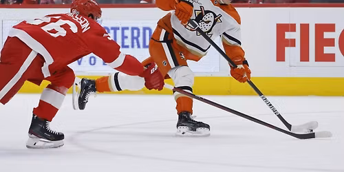 Anaheim Ducks at Detroit Red Wings