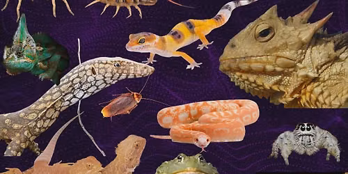 Reptiles R Us presents Stark County Reptile Expo