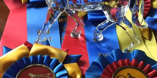 ODS USEF\/USDF Spring Shows I & II