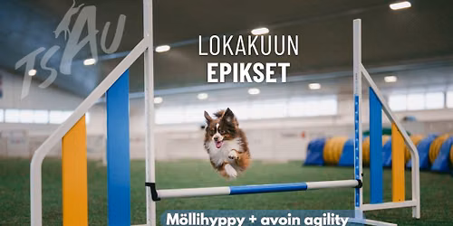 TSAU:n lokakuun ep\u00e4viralliset kilpailut (m\u00f6llihyppy ja avoin agility)